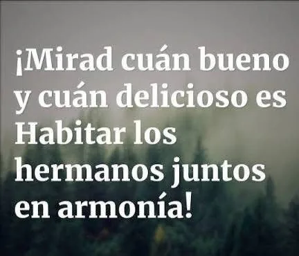 Frase sobre fraternidad y armonía